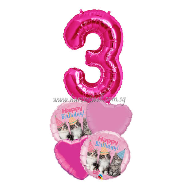 Adorable Party Cat Birthday Age Balloon Bouquet